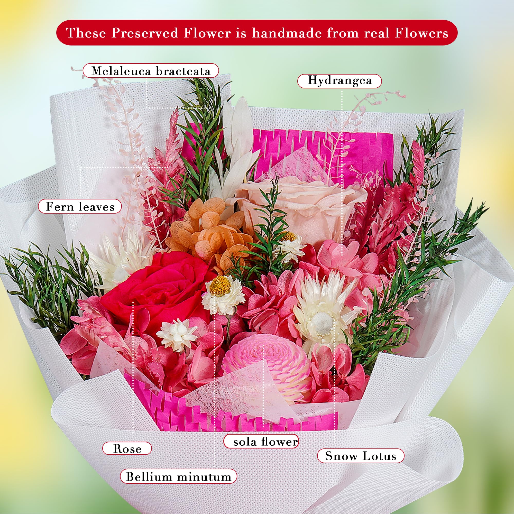 Amazon.com: Loveliome Preserved Flowers Bouquet Natural Long